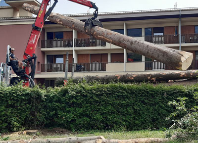 Elagage Haute-Savoie : abattage, suppression de souches, taille