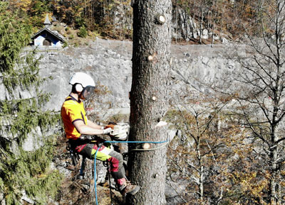 Elagage Haute-Savoie : abattage, taille, plantation