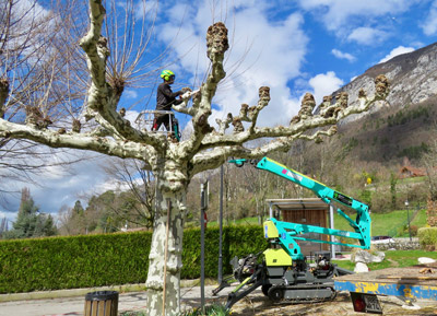 Elagage Haute-Savoie : abattage, taille, plantation