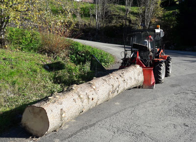 Elagage Haute-Savoie : abattage, taille, plantation