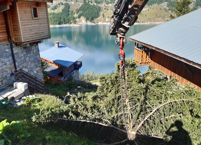 Elagage Haute-Savoie : Rognage souche arbre