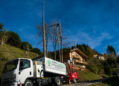 Elagage Abattage d'arbre délicat