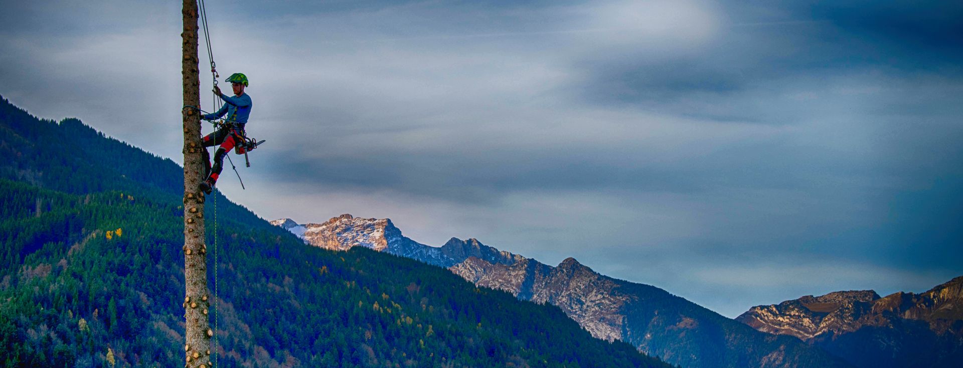 Ruphy Elagage Haute-Savoie, Savoie et Ain, spécialiste dans la taille, l'abattage et la plantation