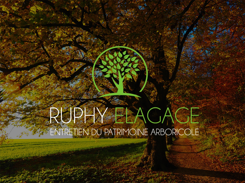 (c) Ruphy-elagage.com